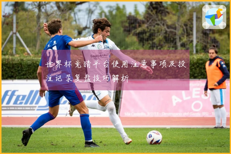 世界杯竞猜平台使用注意事项及投注记录复盘技巧解析