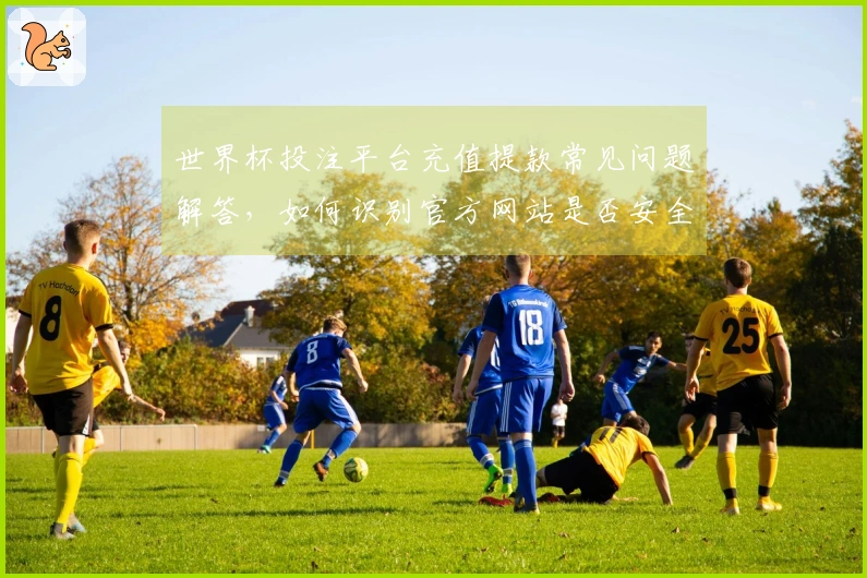 世界杯投注平台充值提款常见问题解答，如何识别官方网站是否安全？